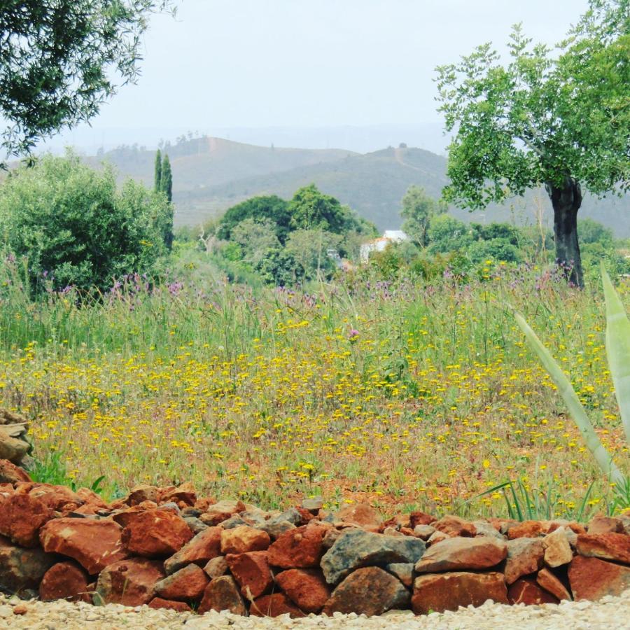 Quinta Das Piteiras Turismo Rural Silves Exterior foto